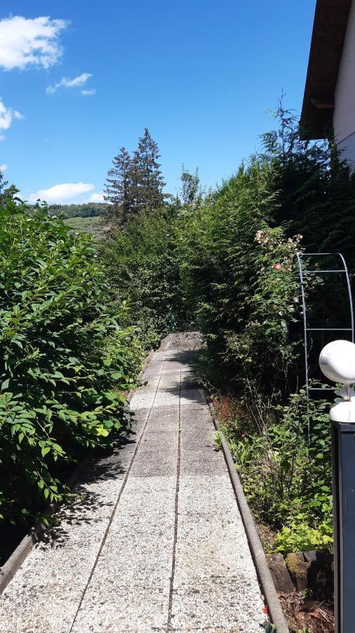 Ravissant studio dans un cadre agréable Soultz-Haut-Rhin Esterno foto