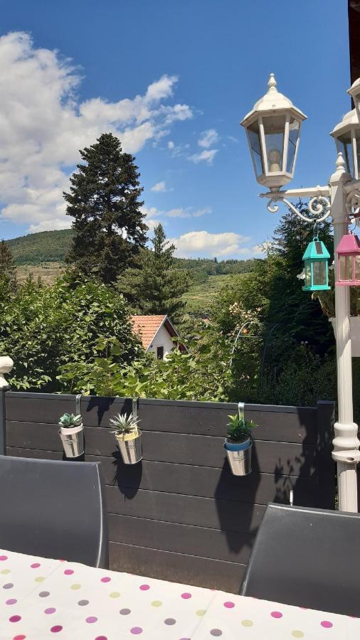 Ravissant studio dans un cadre agréable Soultz-Haut-Rhin Esterno foto