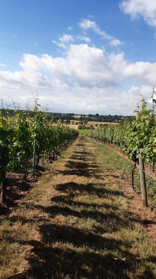 Ravissant studio dans un cadre agréable Soultz-Haut-Rhin Esterno foto