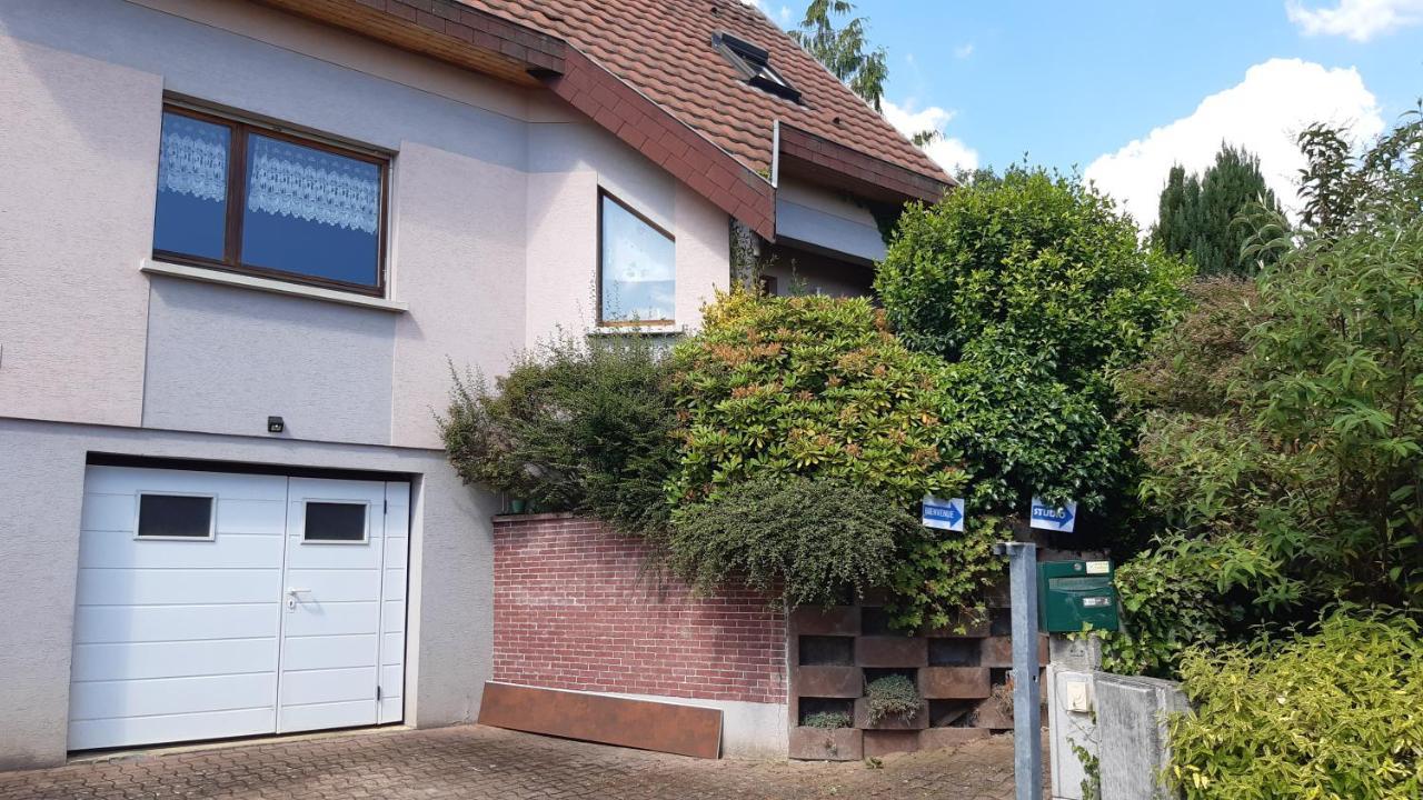 Ravissant studio dans un cadre agréable Soultz-Haut-Rhin Esterno foto