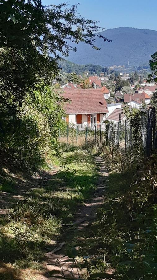 Appartamento Ravissant studio dans un cadre agréable Soultz-Haut-Rhin Esterno foto